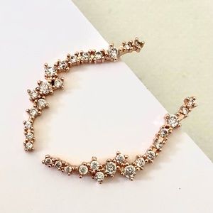 2 Set Earrings Rose Gold Studded climber Tree